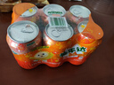 百事可乐美年达X蛋仔派对 大气橙味汽水碳酸饮料330ml*6听 新老包装随机 实拍图