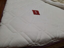 无印良品A类多针床褥大豆床垫遮盖物家用四季防滑1.5x2米床折叠褥子 实拍图