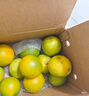 京鲜生 云南哀牢山冰糖橙/橙子 净重9斤 单果130g-170g 生鲜水果礼盒 实拍图