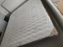 香榭柏兰 椰棕床垫棕垫硬棕榈床垫子 天然乳胶榻榻米床垫定做定制 10CM厚（防螨面料+5CM椰棕+2CM乳胶） 1.8米*2米 实拍图