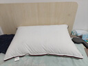 水星家纺枕头枕芯酒店枕头护颈枕头芯家用单个纯棉抗菌可水洗中枕48x74cm 实拍图