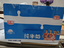 光明【新鲜日期】纯牛奶250mL*24盒家庭量贩装营养早餐伴侣送礼 实拍图