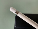 苹果Apple Pencil 一代/二代 苹果手写笔二手苹果手写笔/电容笔/触控笔二手平板电脑配件 苹果Pencil 一代手写笔 单笔【99新】 实拍图