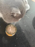 馋小汪猫罐头整箱猫咪零食罐成幼猫营养湿粮鸡肉丝高汤罐85克整箱猫零食 鲜享滋润【鸡肉+三文鱼】 24罐【囤货超值装】 实拍图