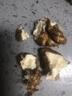 沐小七果蔬 大凉山新鲜湿核桃【多地次日达】去青皮嫩核桃老树薄纸皮补脑 A+级老树精品果【香甜】 去青皮3斤装【送夹子】较划算净2 实拍图