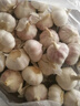 京鲜生山东金乡大蒜带皮新鲜干蒜净重5斤单果4.5cm起  源头直发 实拍图