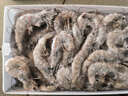 鲜京采 原装进口50/60厄瓜多尔白虾 去冰净重3.3斤 82-99只/盒 源头直发 实拍图