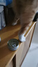 珩盛猫罐头猫零食猫咪零食宠物幼猫成猫母猫产后营养品试吃 鸡肉丝 虾仁 金枪鱼 三种口味 【买12罐送12罐】共24罐 实拍图
