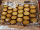 佳沛（zespri）新西兰  阳光金奇异果25-27粒原箱特大果单果约122-146g  猕猴桃 实拍图