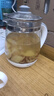 九阳（Joyoung）养生壶迷你玻璃花茶壶煮茶器 12大功能11档温度 0胶水恒温电热烧水壶1.5L 1506BQ 实拍图