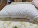 水星家纺蚕丝枕头抗菌护颈枕头芯60支长绒棉深度睡眠软枕头单只48cm*74cm 实拍图