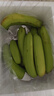 高山精品甜蕉现摘新鲜水果香蕉孕妇宝宝辅食搭配丫丫生鲜特产 5斤装【青蕉发货】 实拍图