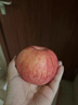 京鲜生 山东栖霞红富士苹果精品12粒 单果190g-240g  水果礼盒 实拍图
