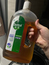 滴露（Dettol）洗衣消毒液衣物消毒水750mL除螨 家居地板杀菌 非84甲流感 实拍图