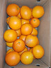 集南鲜 赣南脐橙 江西橙子新鲜现摘水果脐橙时令生鲜水果甜橙 水果礼盒 净重9斤 甄选橙 单果70-80mm 实拍图