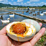 【热销百万单】正宗咸鸭蛋50g/枚饱满流油生鲜超市早餐新鲜即食 【活动专享】10枚 实拍图