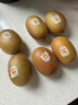 佳沛（zespri）新西兰  阳光金奇异果10粒礼盒巨大果单果约144-175g 水果 猕猴桃 实拍图