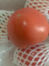 京鲜生 山东普罗旺斯番茄 净重4.5斤 单果125g+ 沙瓤西红柿 源头直发 实拍图