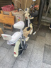 飞鸽电动车新款女生小型轻便新国标电动自行车成人代步通勤续航电单车两轮电瓶车 奶油白【全国联保/智能快充/终身保障】 【铅酸】12A载能-助力续航65公里 实拍图