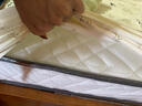 海马驰度天然3E椰棕床垫硬棕垫薄榻榻米棕榈高箱席梦思乳胶家用宿舍床垫子 15cm厚偏硬款 (12cm棕) 1800*2000 实拍图