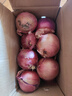 京鲜生 甘肃紫皮洋葱带皮 净重9斤 单果200g+ 新鲜蔬菜源头直发 实拍图