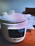 小熊（Bear）电炖锅 电炖盅 煲汤锅 炖汤锅 白瓷炖锅3-4个人用陶瓷全自动煮粥锅 直炖电炖锅 DDG-D30H5 3L 实拍图