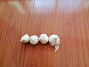 紫白皮蒜水果大蒜超市即食生鲜蔬菜大蒜 【精选】净重 2.8斤 单果3.5-5cm 实拍图