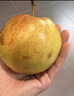 隰县玉露香梨 【顺丰现货】整箱香梨当季水果山西隰县小西天特产 孕妇水果送礼 12粒特大果（净重约9斤）90+mm 实拍图