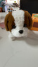 Honey Joy仿真毛绒儿童玩具狗狗会走路会叫电动小狗宠物狗圣伯纳棕色 实拍图