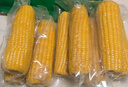 十月稻田 黄糯玉米 3.52斤(220g*8根)  杂粮粗粮 东北玉米 低脂早餐 新米 实拍图