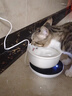 JCZS德国品牌恒温猫咪饮水机自动循环加热宠物喝水器 3档定时恒温垫+350ml黑色陶瓷碗 实拍图