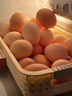 京喜加土鸡蛋 新鲜鸡蛋山林自养 生鲜溏心蛋 卤蛋早餐京东买菜40g正负5g 10枚装总重400g+ 实拍图