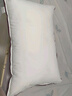 水星家纺枕头枕芯酒店枕头护颈枕头芯家用单个纯棉抗菌可水洗中枕48x74cm 实拍图