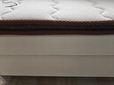 禾屋纪椰棕床垫硬棕垫1.8*2米宿舍托腰棕榈床垫家用榻榻米天然乳胶床垫 5CM/适中款=3cm椰棕 1500mm*1900mm 实拍图