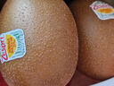 佳沛（zespri）新西兰 阳光金奇异果12粒礼盒特大果单果约122-146g 猕猴桃 水果 实拍图