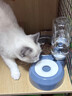 甜浪海猫碗双碗自动喂食器不锈钢狗盆幼猫吃饭喝水防打翻饮水机宠物食盆 实拍图