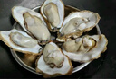 鲜京采 鲜活生蚝3XL 净重5斤 13-18只 鲜活到家 生鲜海鲜 源头直发 实拍图