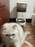 霍曼（Homerun）Real智能自动喂食器猫粮狗粮定时猫咪自动投食机（不锈钢碗） 实拍图