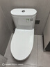TOTO智洁马桶无棱内壁直冲节水全包家用坐便器CW802 400坑距(04-B) 实拍图