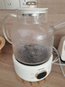 OIDIRE（偶点）全玻璃养生壶 花茶壶无胶水煮茶壶 煮茶器办公室恒温养生壶烧水壶电热水壶炖煮智能保温 1L ODI-HC01花茶养生壶【不带滤网】 实拍图