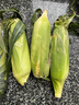 京鲜生云南水果玉米 净重5斤单果280g+ 甜玉米棒新鲜蔬菜应季 源头直发 实拍图