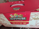 三只松鼠每日坚果孕妇健康混合干果果仁零食礼盒休闲食品节日送礼坚果礼盒 【4+3】每日坚果750g/30袋 实拍图