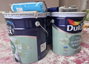 多乐士（Dulux）京绽竹炭抗甲醛五合一净味室内乳胶漆墙面抗菌油漆涂料白色A8146P 套装 白漆 不可调色 54L*1件 实拍图