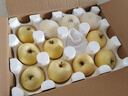 京地达烟台栖霞苹果奶油富士苹果 25年新果80级5斤烟台苹果水果源头直发 实拍图