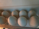 京鲜生【每日鲜蛋】无抗谷物鸡蛋30枚3.78斤 当日产蛋 当日发货 实拍图