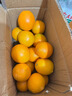 京地达赣南脐橙子江西新鲜水果节日送礼净重9斤单果240g+源头直发包邮 实拍图