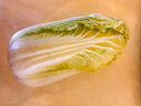 【霜打菜】三宝白菜650g(大娃娃菜) 实拍图