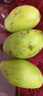 【双十一热卖】玉芒水果芒果新鲜上市 带箱2斤【单果300g+】 实拍图