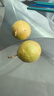 鲜青录广西黄金百香果钦蜜9号新鲜水果黄色白香果西番莲鸡蛋果 净重1斤（单果60-70g） 实拍图