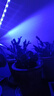 幽麦 LED植物生长补光灯 多肉灯植物夹子灯 单管20LED植物灯 实拍图